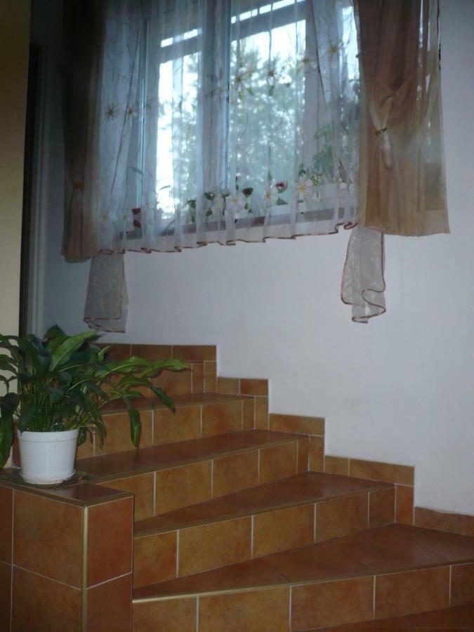 Pokoje Goscinne W Gorach Koscielisko Exterior photo